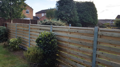 Garden 1